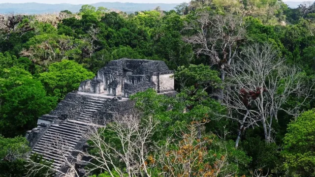 Site maya Tikal