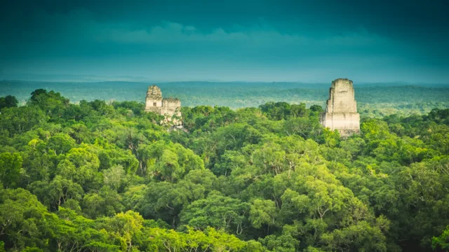 Tikal, site Maya au Guatemala