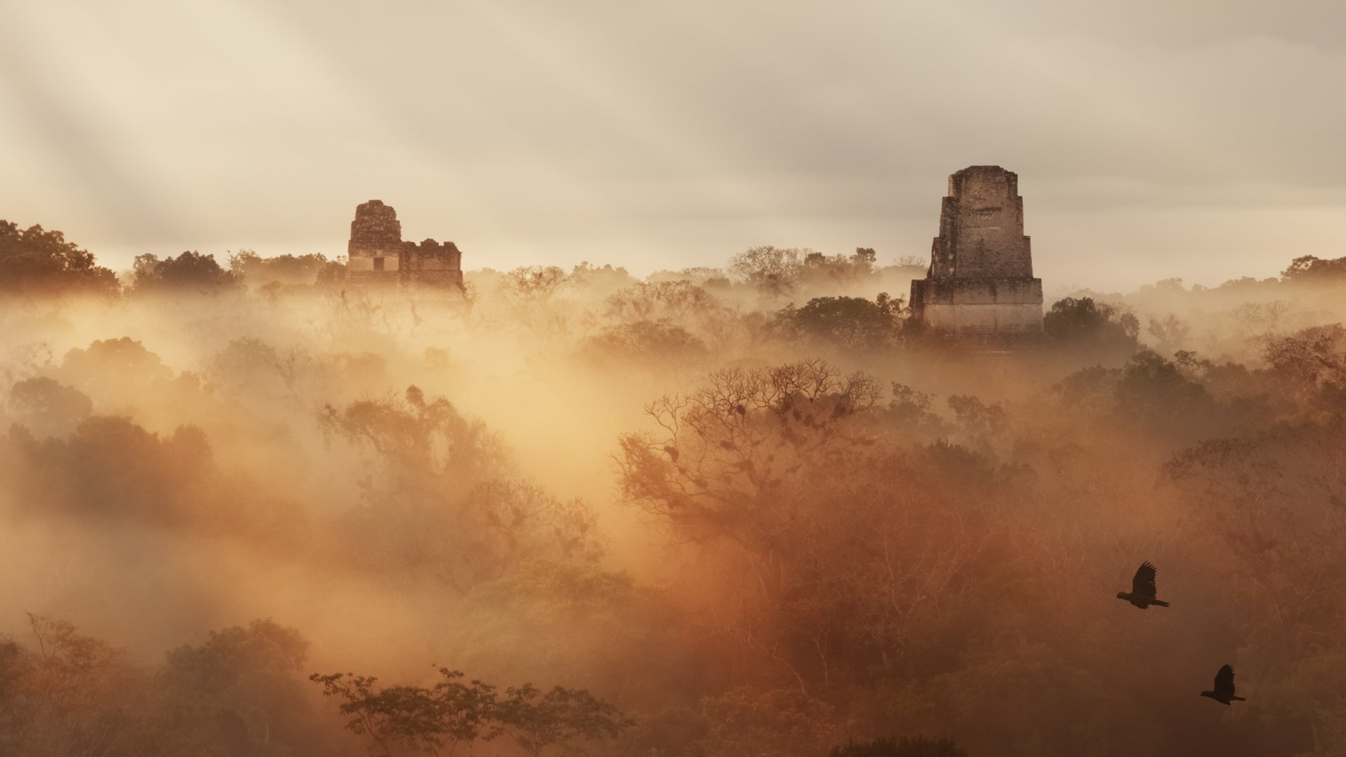 Tikal, site Maya au Guatemala