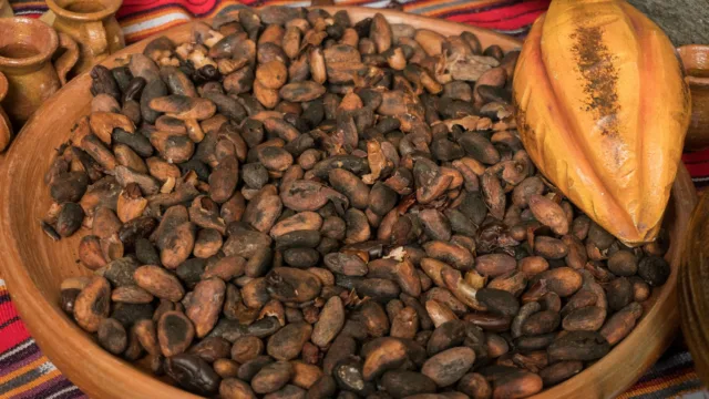 cacao guatemala que faire au Belize