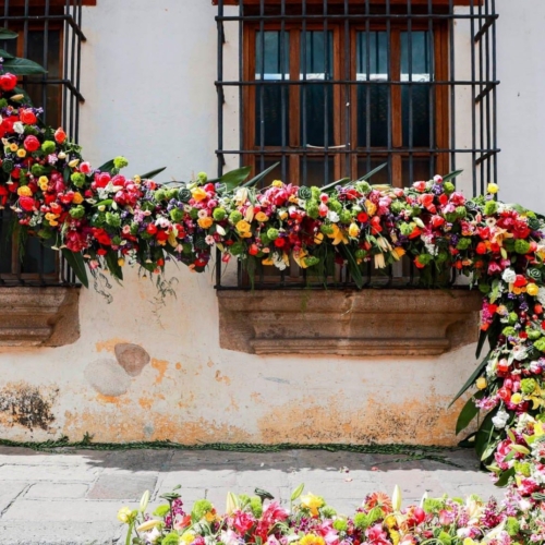 Le temps d’une balade au festival de fleurs d’Antigua