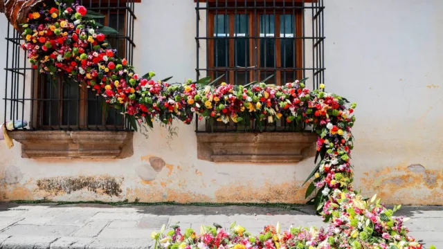 Le temps d&rsquo;une balade au festival de fleurs d&rsquo;Antigua
