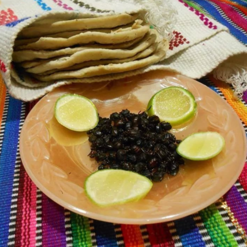 Gastronomie du Guatemala : les Zompopos de mayo