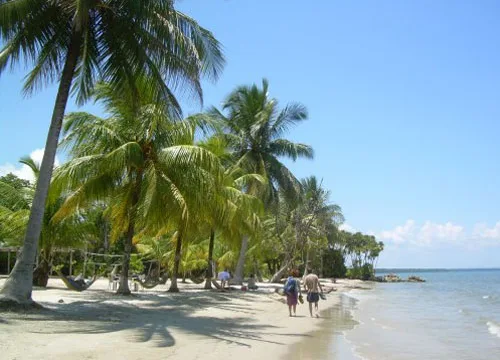 voyage immersion nature guatemala