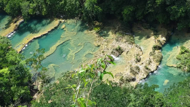 voyage immersion nature guatemala