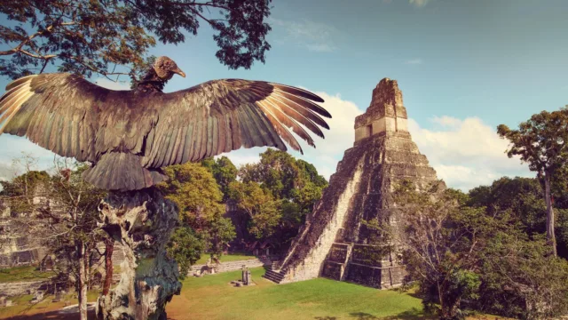 Tikal, site Maya au Guatemala