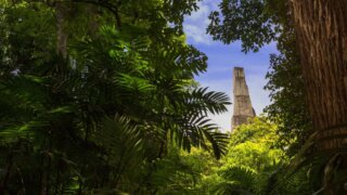 tourisme guatemala peten tikal
