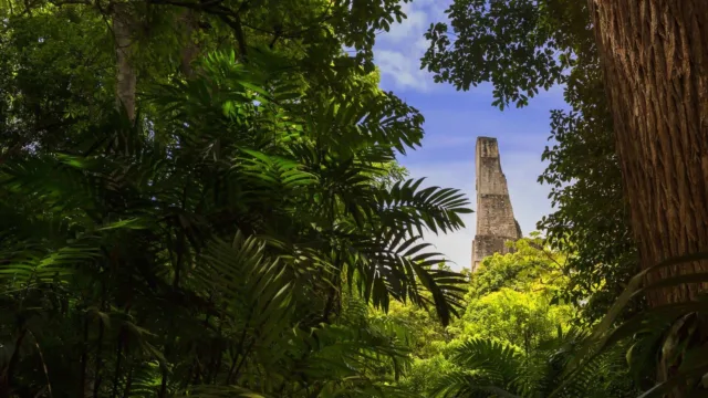 tourisme guatemala peten tikal