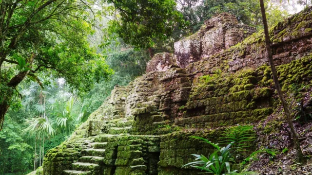 tourisme guatemala peten tikal