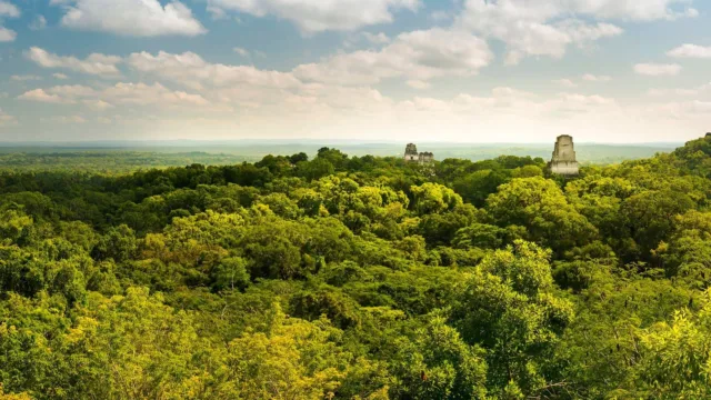 tourisme guatemala peten tikal